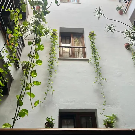 Hostal Al-Andalus-3